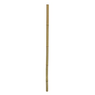 Hobby Bamboo Stix 2-3cm, 100cm, 1 Stck