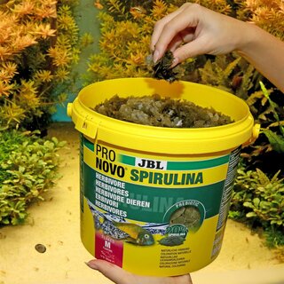 JBL ProNovo Spirulina Flakes M 5,5L