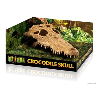 Exo Terra Crocodile Kopf 23x12x7,5cm