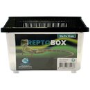 Repto Box 18x11x12cm