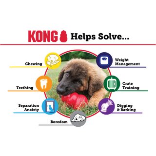 KONG Puppy M diverse Farben