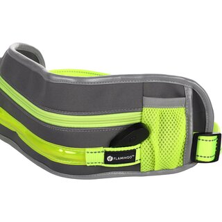 Joggingleine + Hftgrtel Led Stoffel Fluo Gelb