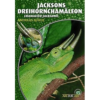 NTV - Jacksons Dreihornchamleon (Chamaeleo jacksonii)