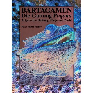 NTV Bartagamen, Die Gattung Pogona (Peter Maria Müller)