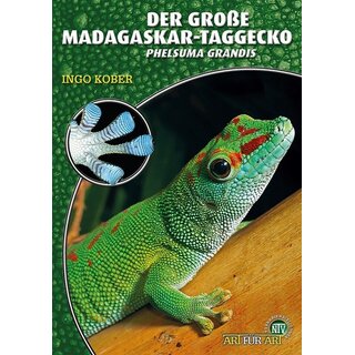 NTV Art fr Art Der groe Madagaskar- Taggecko (Ingo Kober)