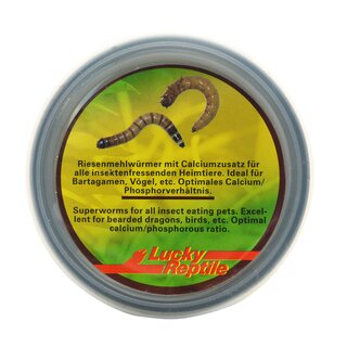 Lucky Reptile Herp Diner, Super Worms 35g