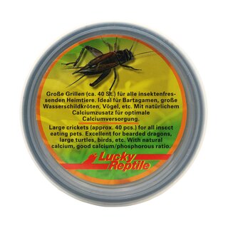 Lucky Reptile Herp Diner, Crickets gro 35g