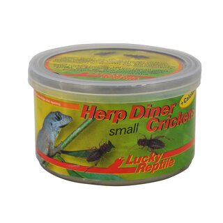 Lucky Reptile Herp Diner, Crickets klein 35g