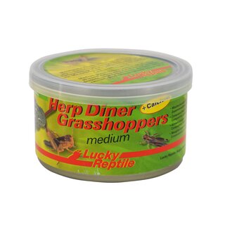 Lucky Reptile Herp Diner, Grasshoppers gro 35g