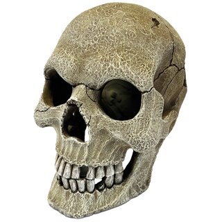 Repto Deko Human Skull XL