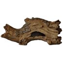 Superfish Forest Deco Wood S (18,5x11,6x9cm)