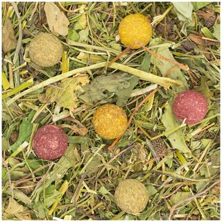 JR FARM Grainless Crunchy- Herbs Balls 150g