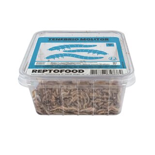 REPTO Food Mehlwrmer, Tenebrio molitor 50g (500ml Dose)