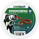 REPTO Food Dendrobena M, 12-15 Stck