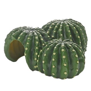 Hobby Cactus Home 1 (22,5x22x10cm)