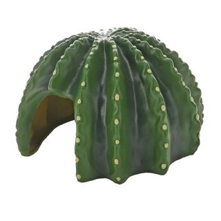 Hobby Cactus Home 2 (12,7x12,5x8cm)