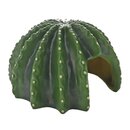 Hobby Cactus Home 2 (12,7x12,5x8cm)
