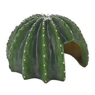 Hobby Cactus Home 4 (23x22x13,8cm)