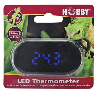 Hobby LED Thermometer