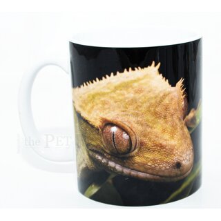 Kaffeebecher Correlophus ciliatus black 2