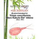 The Pet Factory Zuchtansatz Triops cancriformis - Beni...