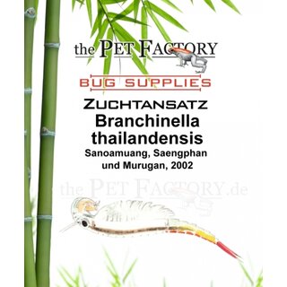 The Pet Factory Zuchtansatz Branchinella thailandensis