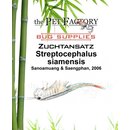 The Pet Factory Zuchtansatz Streptocephalus siamensis