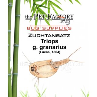 The Pet Factory Zuchtansatz Triops g. granarius