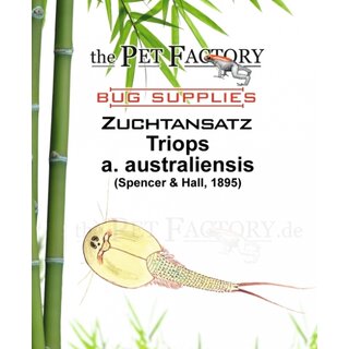 The Pet Factory Zuchtansatz Triops a. australienensis