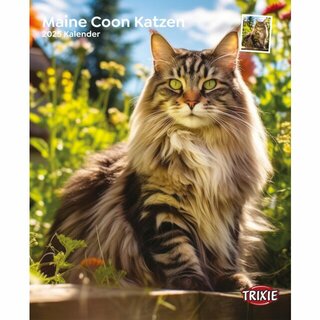 Trixie Kalender Maine Coon