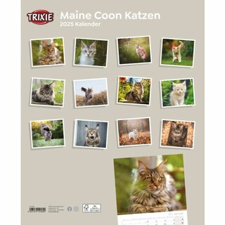 Trixie Kalender Maine Coon