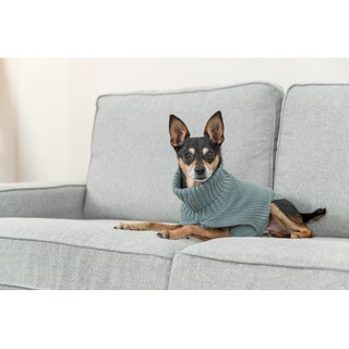 Trixie Pullover CityStyle Berlin, L:60cm, salbei