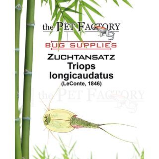 The Pet Factory Zuchtansatz Triops longicaudatus