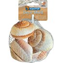 Superfish Deko Schnecke Spiral gestreifet 200g