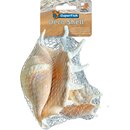 Superfish Deko Schnecke Spinne 150g