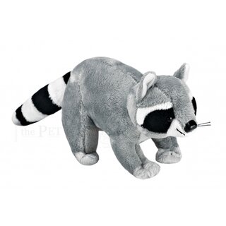 Kuschel Waschbär 26cm