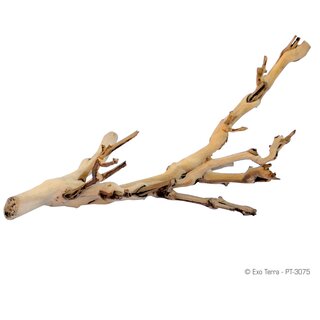 Exo Terra Forest Branch, klein 30cm