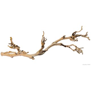 Exo Terra Forest Branch, gro, 60cm