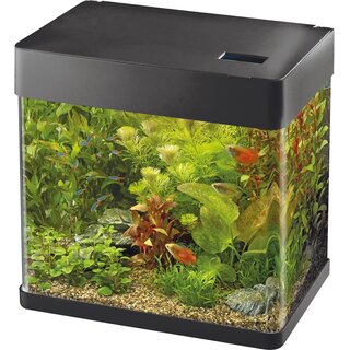 Superfish Panorama 20 LED, schwarz