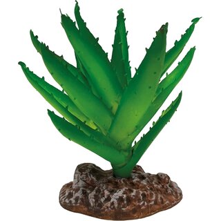 REPTO Plant Aloe Vera (13cm)