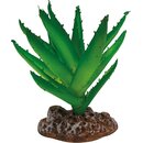 REPTO Plant Aloe Vera (13cm)