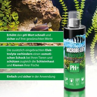 Microbe-Lift pH Increase Swasser, ph- Wert sicher erhhen 118ml