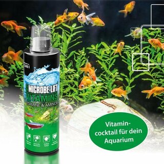 Microbe-Lift Vitamins Swasser, Vitamine und Aminos fr Fische & Pflanzen 118ml