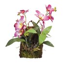 Lucky Reptile Hnge Orchidee Purpur (ca.20x30cm)