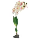 Lucky Reptile Orchidee weiss (ca.40cm)