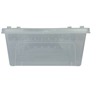 Repto Transport Box 37x24x16cm