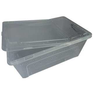 Repto Transport Box 37x24x16cm