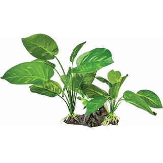 REPTO Plant on Deco dark green