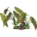 REPTO Plant on Deco, Elephant red