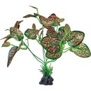 REPTO Plant Standing red/green